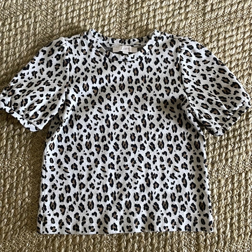 Euc loft top